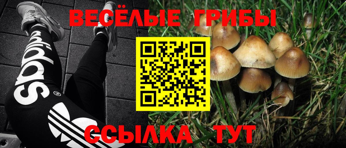 Галлюциногенные грибы мицелий Чита